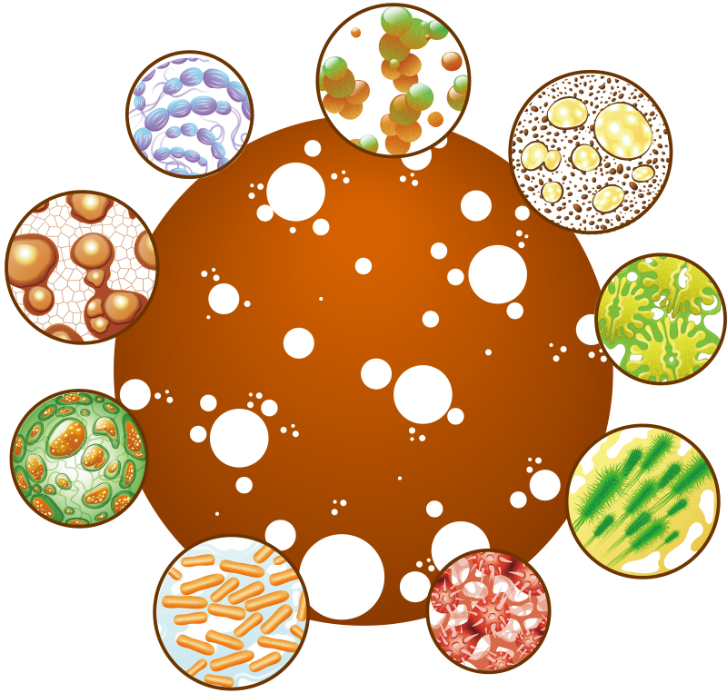 MAGIC SOIL（マジックソイル）