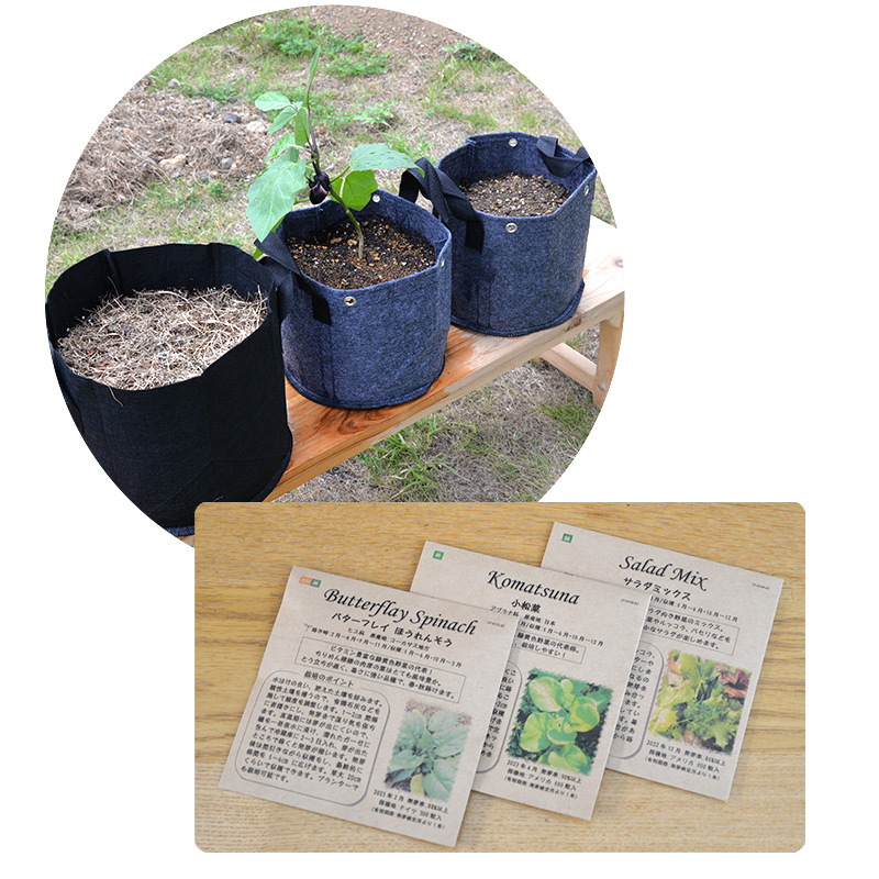 もしもの野菜くん