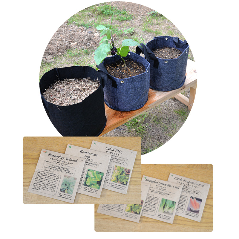 きせつの野菜セット